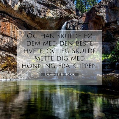 Picture 07 - Salmene 81:16 NORSK - Og han skulde fø dem med den beste hvete, og jeg - Bible Verse Picture