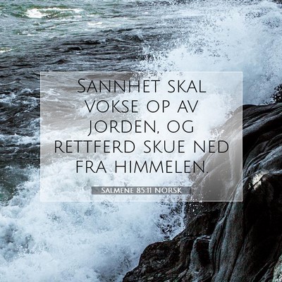 Picture 07 - Salmene 85:11 NORSK - Sannhet skal vokse op av jorden, og rettferd skue - Bible Verse Picture