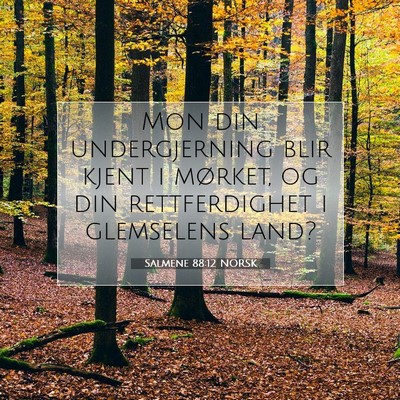 Picture 07 - Salmene 88:12 NORSK - Mon din undergjerning blir kjent i mørket, og - Bible Verse Picture