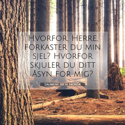 Picture 07 - Salmene 88:14 NORSK - Hvorfor, Herre, forkaster du min sjel? Hvorfor - Bible Verse Picture