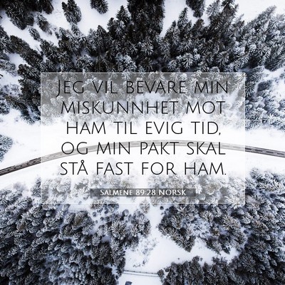 Picture 07 - Salmene 89:28 NORSK - Jeg vil bevare min miskunnhet mot ham til evig - Bible Verse Picture