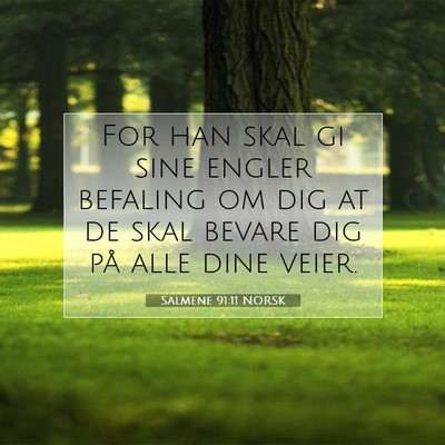 Picture 07 - Salmene 91:11 NORSK - For han skal gi sine engler befaling om dig at de - Bible Verse Picture
