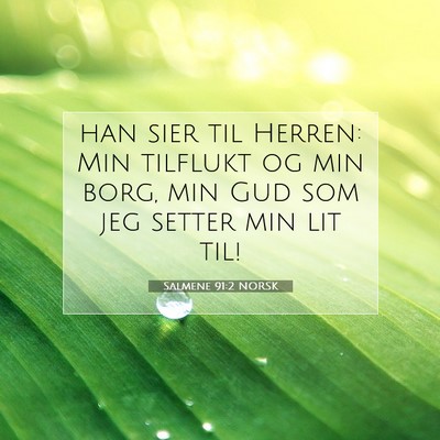Picture 07 - Salmene 91:2 NORSK - han sier til Herren: Min tilflukt og min borg, - Bible Verse Picture