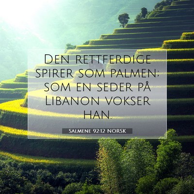 Picture 07 - Salmene 92:12 NORSK - Den rettferdige spirer som palmen; som en seder - Bible Verse Picture