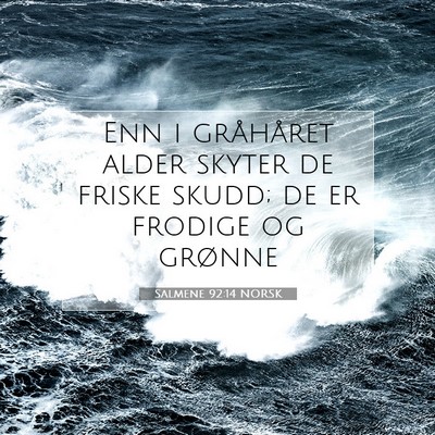 Picture 07 - Salmene 92:14 NORSK - Enn i gråhåret alder skyter de friske skudd; de - Bible Verse Picture