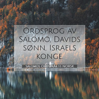 Picture 07 - Salomos Ordspråk 1:1 NORSK - Ordsprog av Salomo, Davids sønn, Israels - Bible Verse Picture