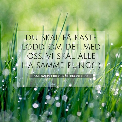 Picture 07 - Salomos Ordspråk 1:14 NORSK - du skal få kaste lodd om det med oss, vi skal - Bible Verse Picture