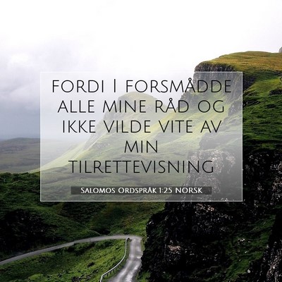 Picture 07 - Salomos Ordspråk 1:25 NORSK - fordi I forsmådde alle mine råd og ikke vilde - Bible Verse Picture