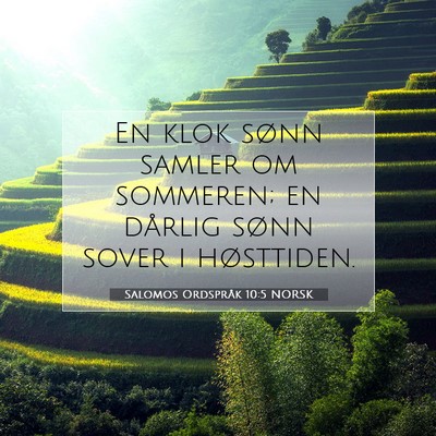 Picture 07 - Salomos Ordspråk 10:5 NORSK - En klok sønn samler om sommeren; en dårlig - Bible Verse Picture