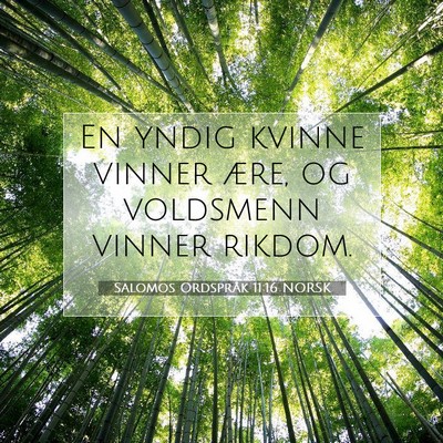 Picture 07 - Salomos Ordspråk 11:16 NORSK - En yndig kvinne vinner ære, og voldsmenn vinner - Bible Verse Picture