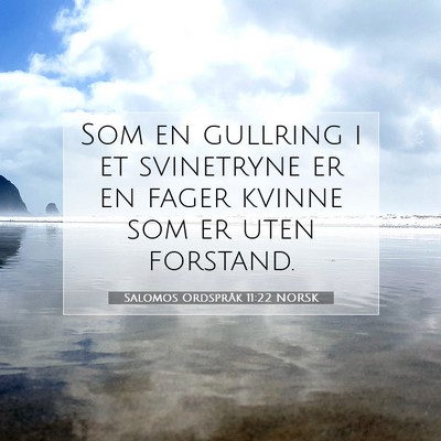 Picture 07 - Salomos Ordspråk 11:22 NORSK - Som en gullring i et svinetryne er en fager - Bible Verse Picture