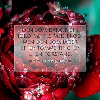 Picture 07 - Salomos Ordspråk 12:11 NORSK - Den som dyrker sin jord, mettes med brød; men - Bible Verse Picture