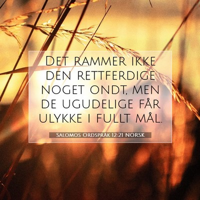 Picture 07 - Salomos Ordspråk 12:21 NORSK - Det rammer ikke den rettferdige noget ondt, men - Bible Verse Picture