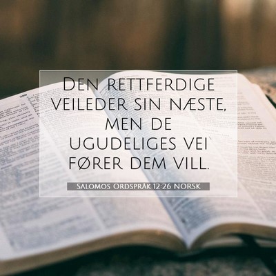 Picture 07 - Salomos Ordspråk 12:26 NORSK - Den rettferdige veileder sin næste, men de - Bible Verse Picture