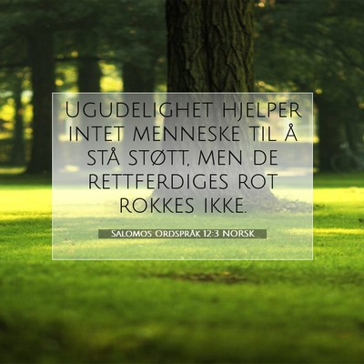 Picture 07 - Salomos Ordspråk 12:3 NORSK - Ugudelighet hjelper intet menneske til å stå - Bible Verse Picture