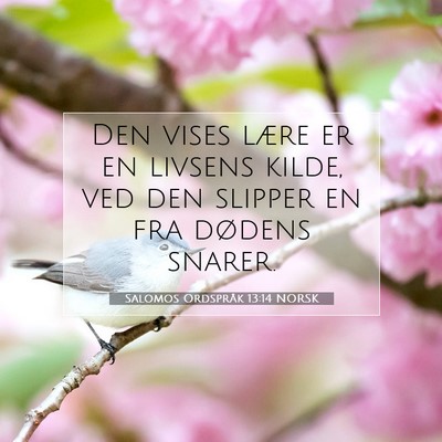 Picture 07 - Salomos Ordspråk 13:14 NORSK - Den vises lære er en livsens kilde, ved den - Bible Verse Picture