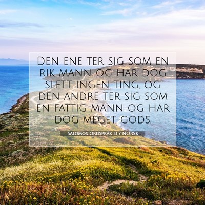 Picture 07 - Salomos Ordspråk 13:7 NORSK - Den ene ter sig som en rik mann og har dog slett - Bible Verse Picture