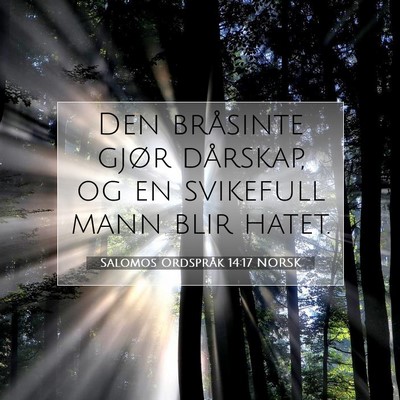 Picture 07 - Salomos Ordspråk 14:17 NORSK - Den bråsinte gjør dårskap, og en svikefull - Bible Verse Picture