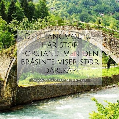 Picture 07 - Salomos Ordspråk 14:29 NORSK - Den langmodige har stor forstand, men den - Bible Verse Picture