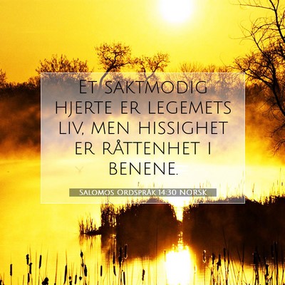 Picture 07 - Salomos Ordspråk 14:30 NORSK - Et saktmodig hjerte er legemets liv, men - Bible Verse Picture