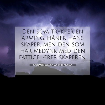 Picture 07 - Salomos Ordspråk 14:31 NORSK - Den som trykker en arming, håner hans skaper, - Bible Verse Picture