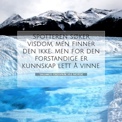 Picture 07 - Salomos Ordspråk 14:6 NORSK - Spotteren søker visdom, men finner den ikke; men - Bible Verse Picture
