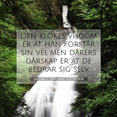 Picture 07 - Salomos Ordspråk 14:8 NORSK - Den klokes visdom er at han forstår sin vei, men - Bible Verse Picture