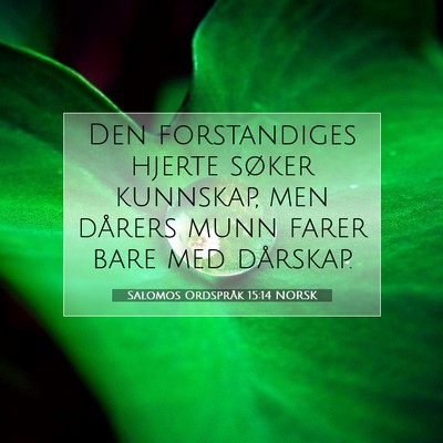 Picture 07 - Salomos Ordspråk 15:14 NORSK - Den forstandiges hjerte søker kunnskap, men - Bible Verse Picture
