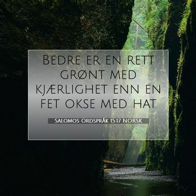 Picture 07 - Salomos Ordspråk 15:17 NORSK - Bedre er en rett grønt med kjærlighet enn en - Bible Verse Picture