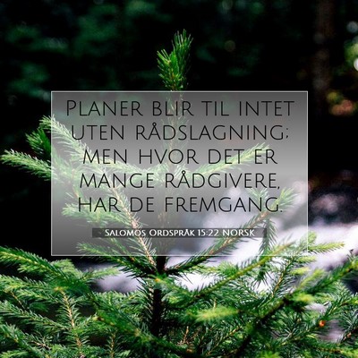 Picture 07 - Salomos Ordspråk 15:22 NORSK - Planer blir til intet uten rådslagning; men hvor - Bible Verse Picture