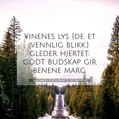 Picture 07 - Salomos Ordspråk 15:30 NORSK - ¥inenes lys {de. et vennlig blikk.} gleder - Bible Verse Picture