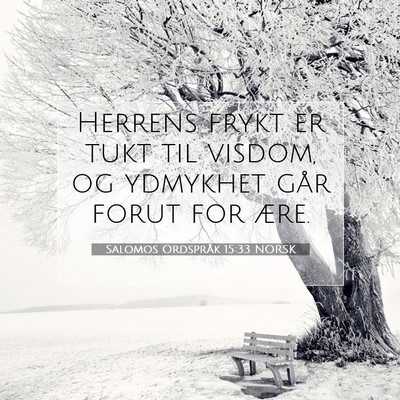 Picture 07 - Salomos Ordspråk 15:33 NORSK - Herrens frykt er tukt til visdom, og ydmykhet - Bible Verse Picture