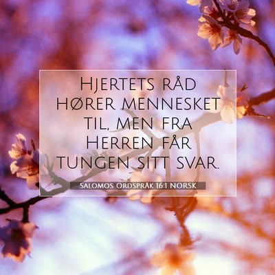 Picture 07 - Salomos Ordspråk 16:1 NORSK - Hjertets råd hører mennesket til, men fra - Bible Verse Picture