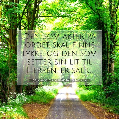 Picture 07 - Salomos Ordspråk 16:20 NORSK - Den som akter på ordet, skal finne lykke, og den - Bible Verse Picture