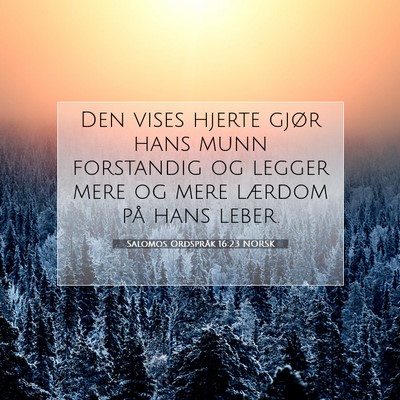 Picture 07 - Salomos Ordspråk 16:23 NORSK - Den vises hjerte gjør hans munn forstandig og - Bible Verse Picture