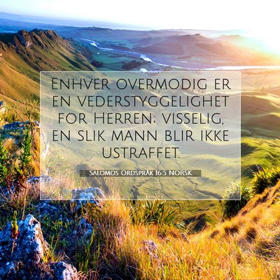 Picture 07 - Salomos Ordspråk 16:5 NORSK - Enhver overmodig er en vederstyggelighet for - Bible Verse Picture