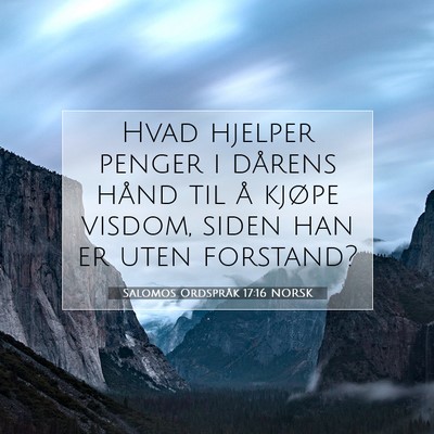 Picture 07 - Salomos Ordspråk 17:16 NORSK - Hvad hjelper penger i dårens hånd til å kjøpe - Bible Verse Picture