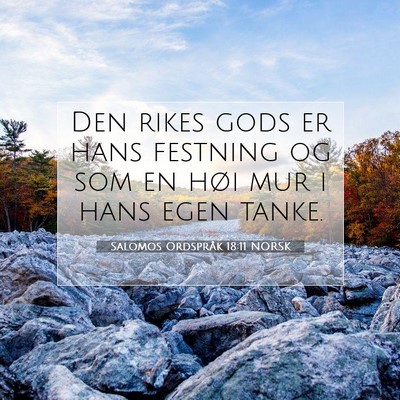 Picture 07 - Salomos Ordspråk 18:11 NORSK - Den rikes gods er hans festning og som en høi - Bible Verse Picture