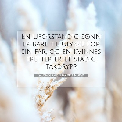 Picture 07 - Salomos Ordspråk 19:13 NORSK - En uforstandig sønn er bare til ulykke for sin - Bible Verse Picture