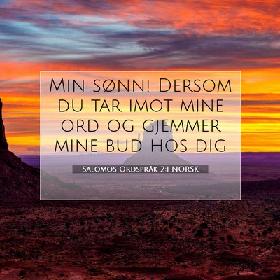 Picture 07 - Salomos Ordspråk 2:1 NORSK - Min sønn! Dersom du tar imot mine ord og gjemmer - Bible Verse Picture