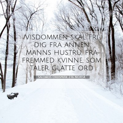 Picture 07 - Salomos Ordspråk 2:16 NORSK - Visdommen skal fri dig fra annen manns hustru, - Bible Verse Picture