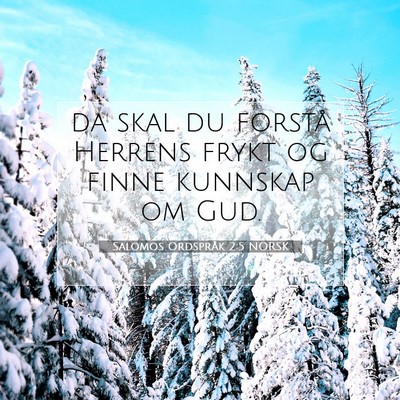 Picture 07 - Salomos Ordspråk 2:5 NORSK - da skal du forstå Herrens frykt og finne - Bible Verse Picture