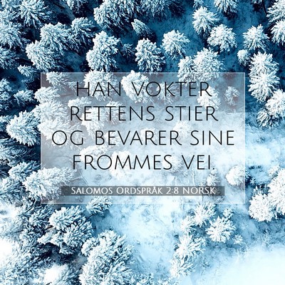 Picture 07 - Salomos Ordspråk 2:8 NORSK - han vokter rettens stier og bevarer sine frommes - Bible Verse Picture