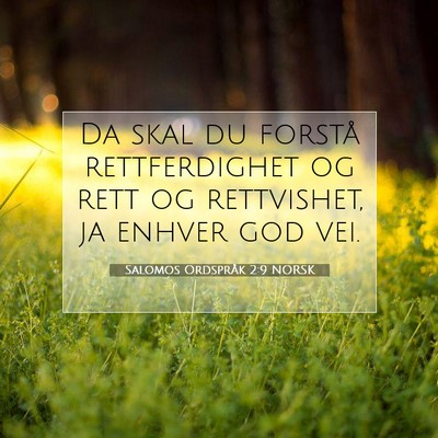 Picture 07 - Salomos Ordspråk 2:9 NORSK - Da skal du forstå rettferdighet og rett og - Bible Verse Picture