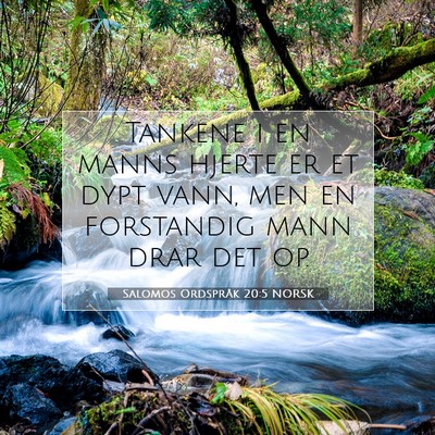 Picture 07 - Salomos Ordspråk 20:5 NORSK - Tankene i en manns hjerte er et dypt vann, men en - Bible Verse Picture