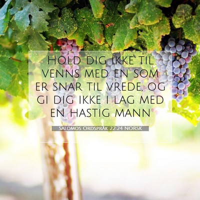 Picture 07 - Salomos Ordspråk 22:24 NORSK - Hold dig ikke til venns med en som er snar til - Bible Verse Picture