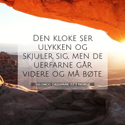Picture 07 - Salomos Ordspråk 22:3 NORSK - Den kloke ser ulykken og skjuler sig, men de - Bible Verse Picture