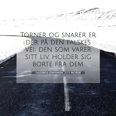 Picture 07 - Salomos Ordspråk 22:5 NORSK - Torner og snarer er der på den falskes vei; den - Bible Verse Picture