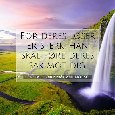 Picture 07 - Salomos Ordspråk 23:11 NORSK - For deres løser er sterk, han skal føre deres - Bible Verse Picture
