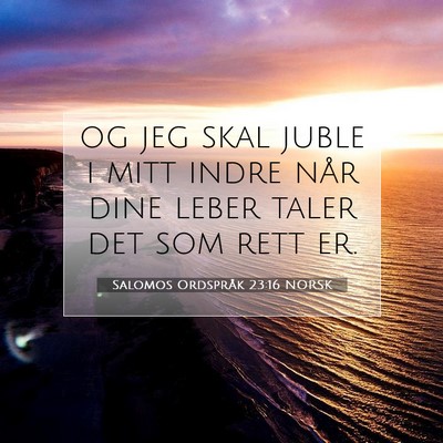 Picture 07 - Salomos Ordspråk 23:16 NORSK - og jeg skal juble i mitt indre når dine leber - Bible Verse Picture